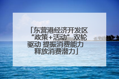东营港经济开发区“政策+活动”双轮驱动 提振消费能力 释放消费潜力