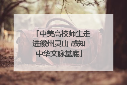 中美高校师生走进徽州灵山 感知中华文脉基底