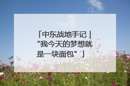 中东战地手记｜“我今天的梦想就是一块面包”
