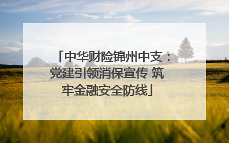 中华财险锦州中支：党建引领消保宣传 筑牢金融安全防线