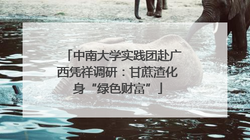 中南大学实践团赴广西凭祥调研：甘蔗渣化身“绿色财富”
