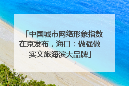 中国城市网络形象指数在京发布，海口：做强做实文旅海滨大品牌