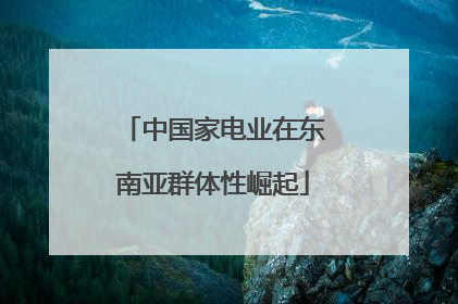 中国家电业在东南亚群体性崛起