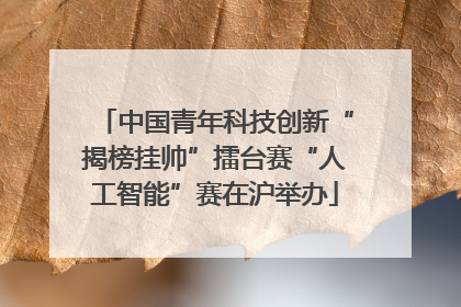 中国青年科技创新“揭榜挂帅”擂台赛“人工智能”赛在沪举办