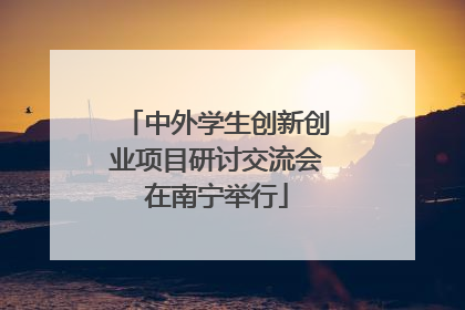 中外学生创新创业项目研讨交流会在南宁举行