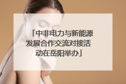 中非电力与新能源发展合作交流对接活动在岳阳举办