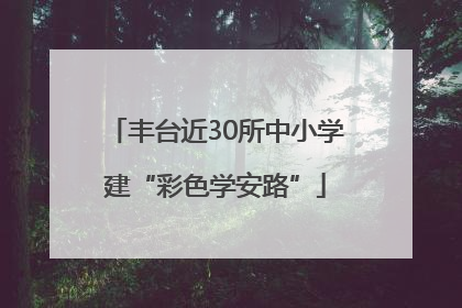 丰台近30所中小学建“彩色学安路”