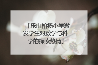 乐山柏杨小学激发学生对数学与科学的探索热情