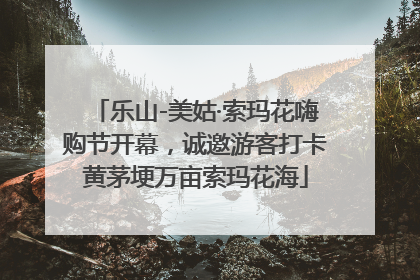 乐山-美姑·索玛花嗨购节开幕，诚邀游客打卡黄茅埂万亩索玛花海