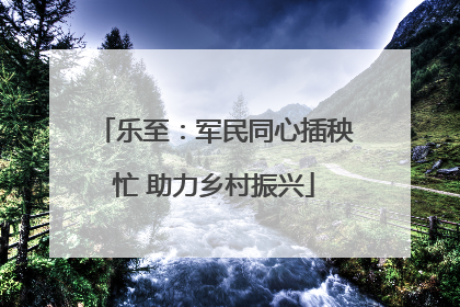 乐至：军民同心插秧忙 助力乡村振兴