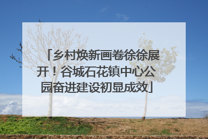 乡村焕新画卷徐徐展开！谷城石花镇中心公园奋进建设初显成效