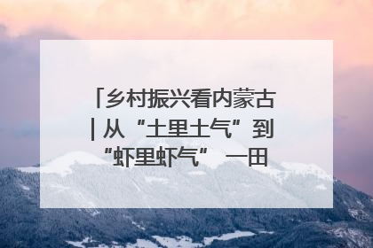 乡村振兴看内蒙古｜从“土里土气”到“虾里虾气” 一田双收模式火出圈