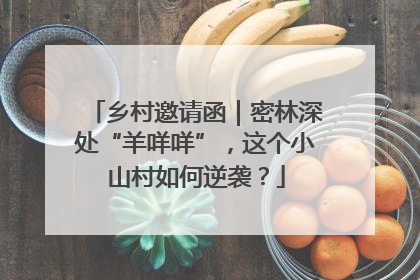 乡村邀请函｜密林深处“羊咩咩”，这个小山村如何逆袭？