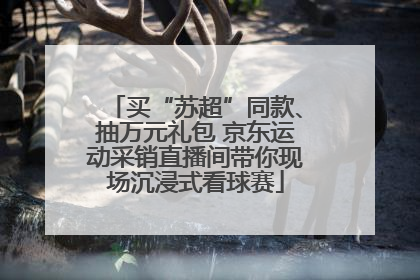 买“苏超”同款、抽万元礼包 京东运动采销直播间带你现场沉浸式看球赛