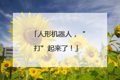 人形机器人，“打”起来了！
