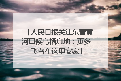人民日报关注东营黄河口候鸟栖息地：更多飞鸟在这里安家