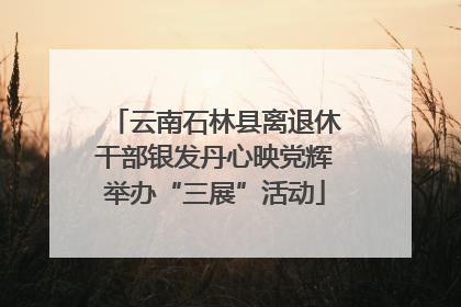 云南石林县离退休干部银发丹心映党辉举办“三展”活动