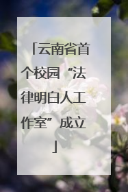 云南省首个校园“法律明白人工作室”成立