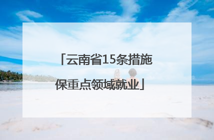 云南省15条措施保重点领域就业