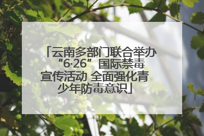 云南多部门联合举办“6·26”国际禁毒宣传活动 全面强化青少年防毒意识
