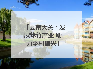 云南大关：发展筇竹产业 助力乡村振兴