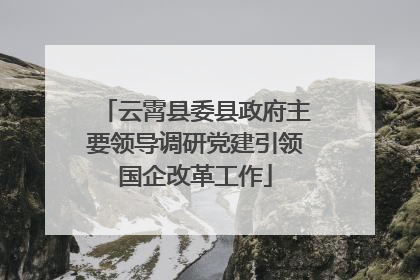 云霄县委县政府主要领导调研党建引领国企改革工作
