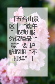 五台山景区｜“端午”假期 服务保障最“粽”要 护航假期“不打烊”