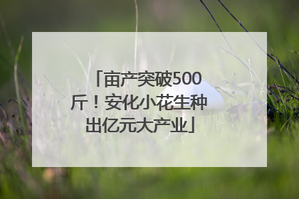 亩产突破500斤！安化小花生种出亿元大产业