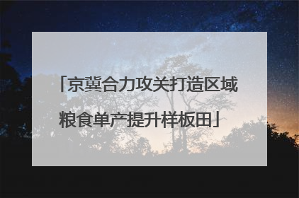 京冀合力攻关打造区域粮食单产提升样板田