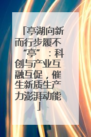 亭湖向新而行步履不“亭”：科创与产业互融互促，催生新质生产力澎湃动能
