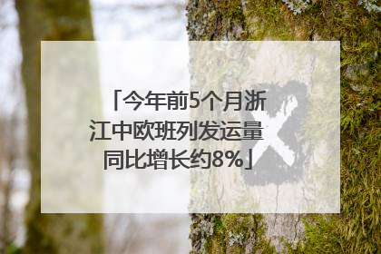 今年前5个月浙江中欧班列发运量同比增长约8%