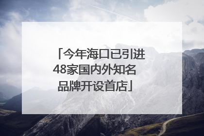 今年海口已引进48家国内外知名品牌开设首店