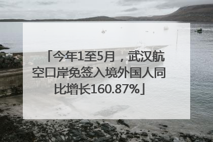 今年1至5月，武汉航空口岸免签入境外国人同比增长160.87%