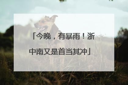 今晚，有暴雨！浙中南又是首当其冲
