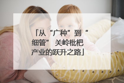 从“广种”到“细管” 关岭枇杷产业的跃升之路
