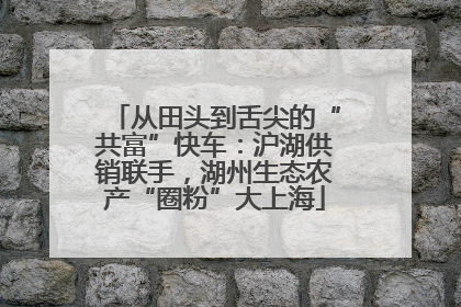 从田头到舌尖的“共富”快车：沪湖供销联手，湖州生态农产“圈粉”大上海