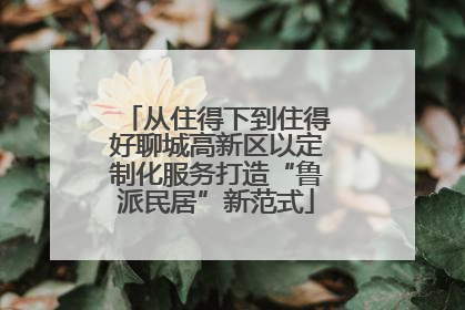 从住得下到住得好聊城高新区以定制化服务打造“鲁派民居”新范式