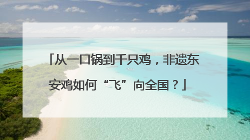 从一口锅到千只鸡，非遗东安鸡如何“飞”向全国？