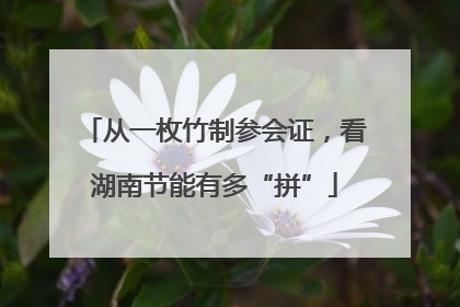 从一枚竹制参会证，看湖南节能有多“拼”