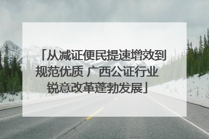 从减证便民提速增效到规范优质 广西公证行业锐意改革蓬勃发展