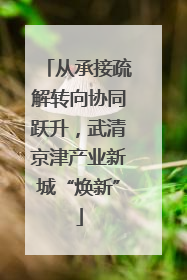 从承接疏解转向协同跃升，武清京津产业新城“焕新”