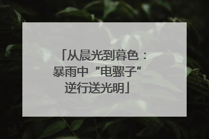 从晨光到暮色：暴雨中“电骡子”逆行送光明