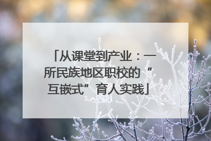 从课堂到产业：一所民族地区职校的“互嵌式”育人实践