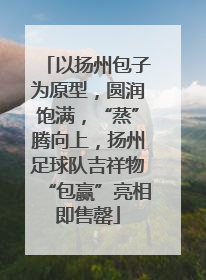 以扬州包子为原型，圆润饱满，“蒸”腾向上，扬州足球队吉祥物“包赢”亮相即售罄