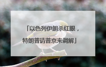 以色列伊朗杀红眼，特朗普请普京来调解
