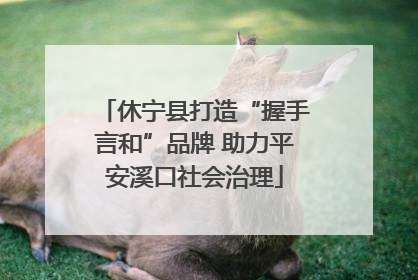 休宁县打造“握手言和”品牌 助力平安溪口社会治理