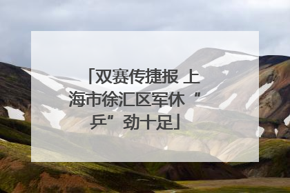 双赛传捷报 上海市徐汇区军休“乒”劲十足
