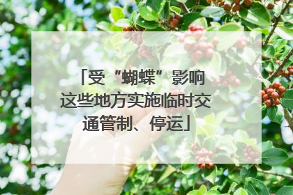 受“蝴蝶”影响 这些地方实施临时交通管制、停运