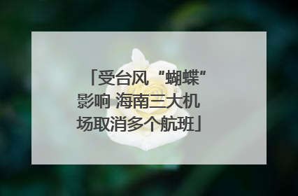 受台风“蝴蝶”影响 海南三大机场取消多个航班