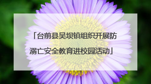 台前县吴坝镇组织开展防溺亡安全教育进校园活动